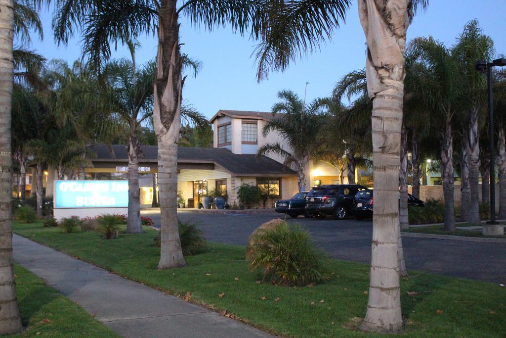 O'cairns And Hotel 3*
